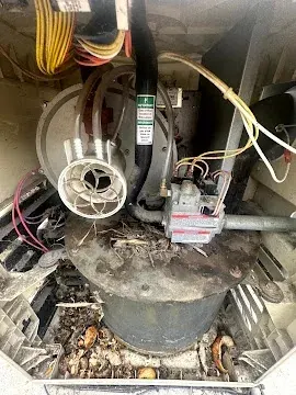 Rodent damage inside pool heater — common in Inland Empire